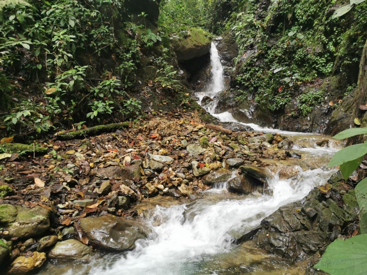 Finca Tradicional El Otono Pijao Esterno foto