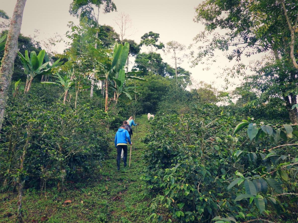 Finca Tradicional El Otono Pijao Esterno foto